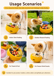 Large Multifunctional Silicone Slow Feeder Mat for Dogs & Cats