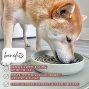20cm round Silicone Pet Slow Feeder Bowl with Non-Slip Base for dogs and cats