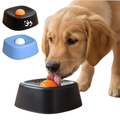 Non-Slip Square Slow Feeder Bowl with Entertainment Ball